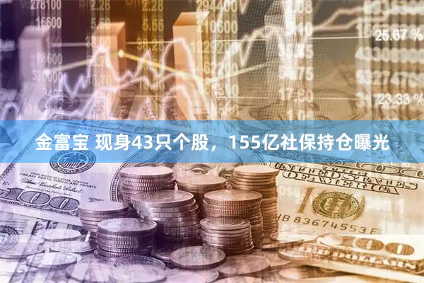 金富宝 现身43只个股，155亿社保持仓曝光