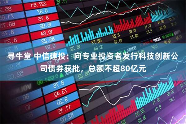 寻牛堂 中信建投：向专业投资者发行科技创新公司债券获批，总额不超80亿元