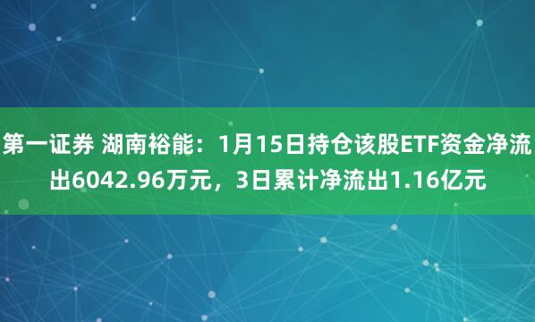 第一证券 湖南裕能：1月15日持仓该股ETF资金净流出6042.96万元，3日累计净流出1.16亿元