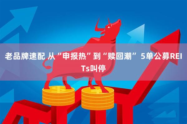 老品牌速配 从“申报热”到“赎回潮” 5单公募REITs叫停
